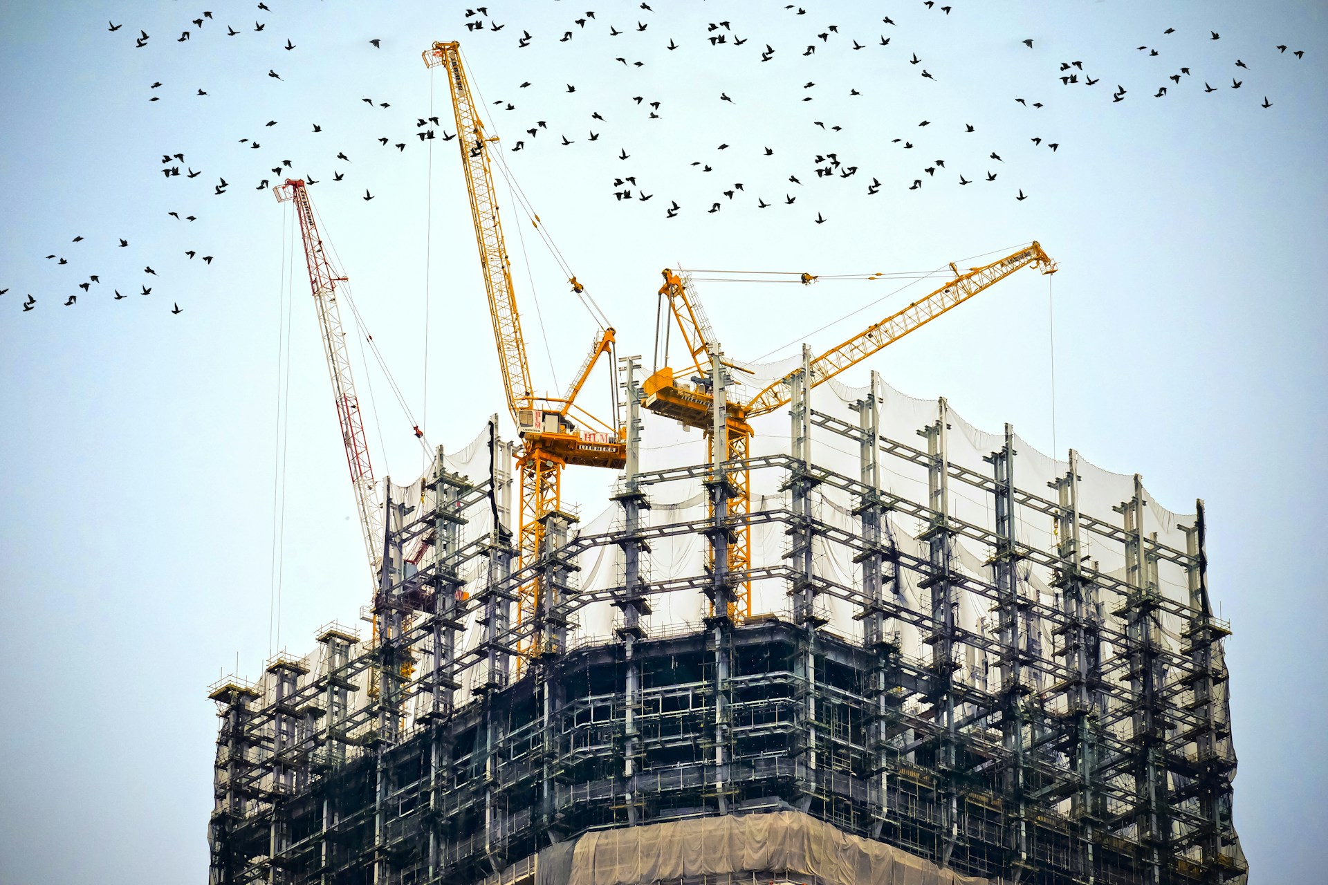 Expertise in Building and Construction: A Proactive and Hands-On Approach